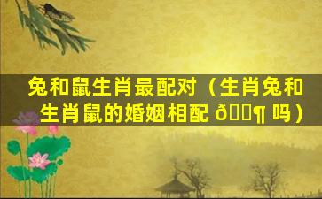 兔和鼠生肖最配对（生肖兔和生肖鼠的婚姻相配 🐶 吗）